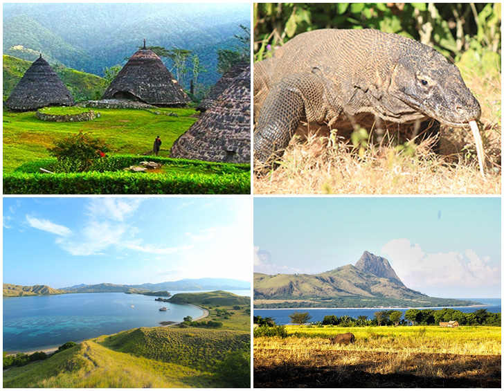 Komodo und Waerebo Reise